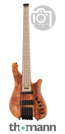 Le Fay Herr Schwarz 5 Headless Ch Thomann Uk