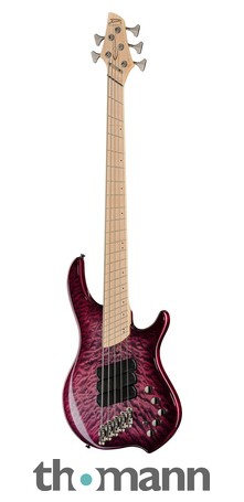 Dingwall CB3 Combustion 5 Ultra Violet – Thomann België