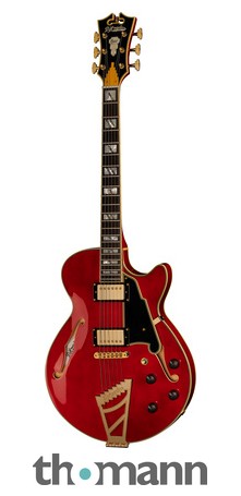 DAngelico Excel SS Trans Cherry – United States