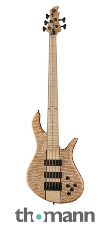 Torillo Volta 5 Quilted Maple – Thomann Sverige
