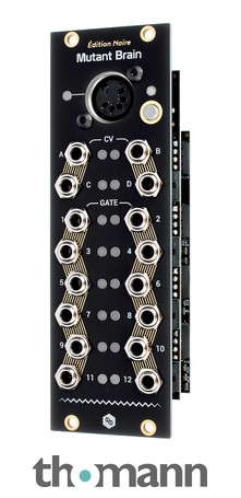 Hexinverter Électronique Mutant Brain – Thomann UK