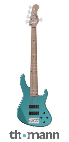 Amazon.com: Sadowsky MetroExpress 21-fret Vintage JJ Bass, 5