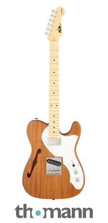 FGN Telecasterエレキギター　ネオクラシック　Neo classic Neo Classic TE / FGN Guitars