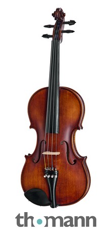 Roth & Junius Europe Orchestra Violin St/Eb