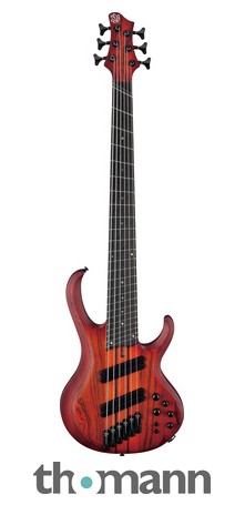 Ibanez BTB866MS-BRF – Thomann UK