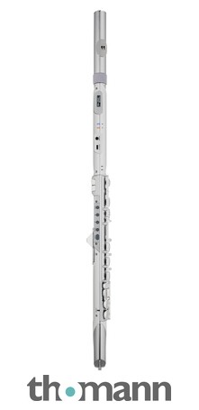 Aerophnne　エアロフォン Roland/ローランド Aerophone(エアロフォン) AE-10R