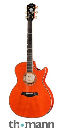 1*9様 DeliciousTaylormade　FUNK YARD DAZE Taylor Doyle Dykes Signature Model – Thomann România