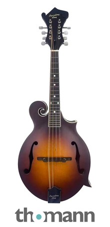 Recording King マンドリン 本体 Recording King RFM-3-TS Mandoline – United States