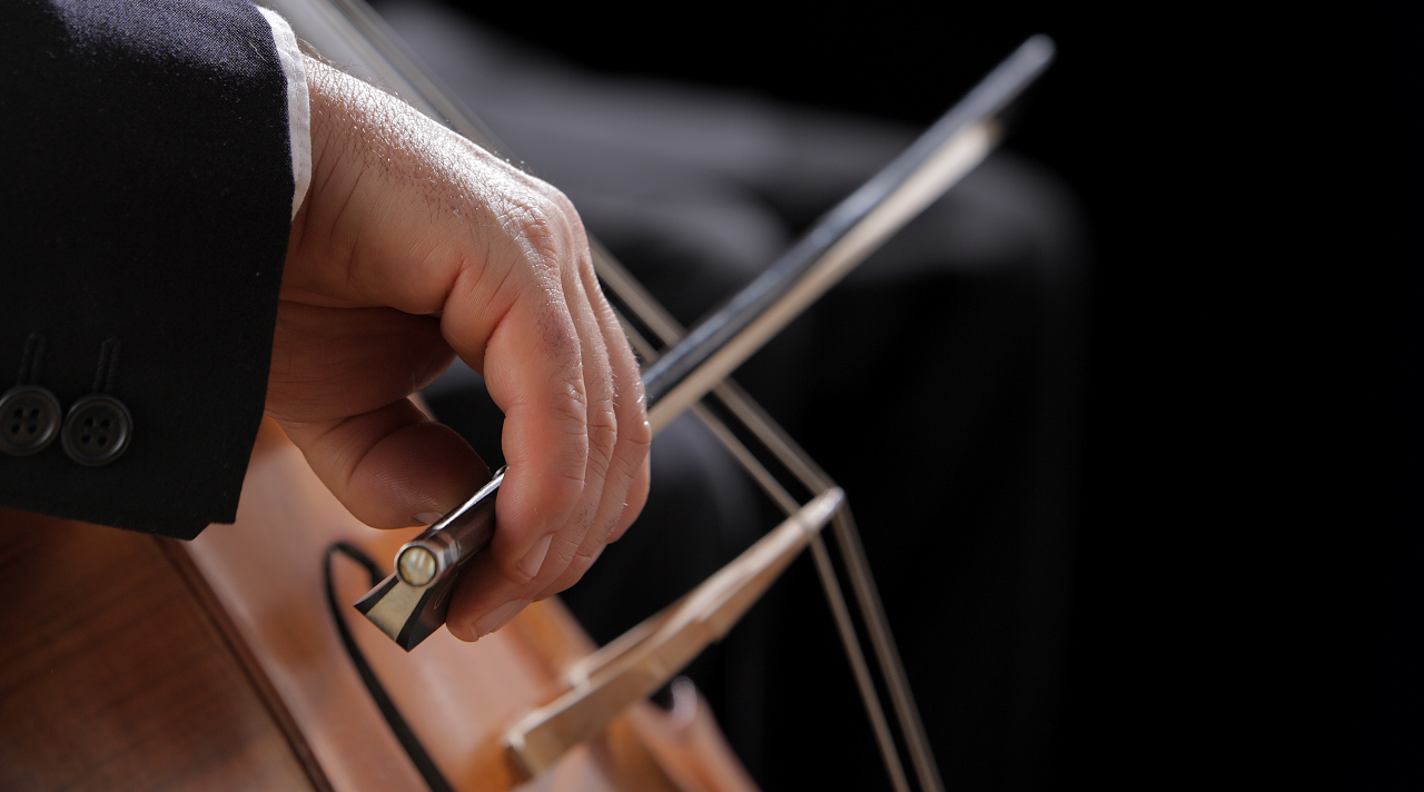 Thomann Online Guides Cello Materials & Components Thomann UK