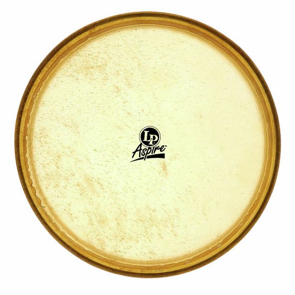 LP A640C 12" Conga Head Aspire