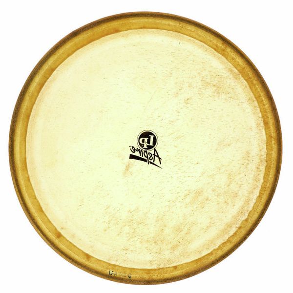 LP A640C 12" Conga Head Aspire