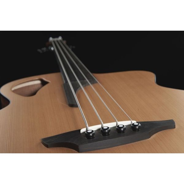 Furch Bc 61-CM4 Fretless