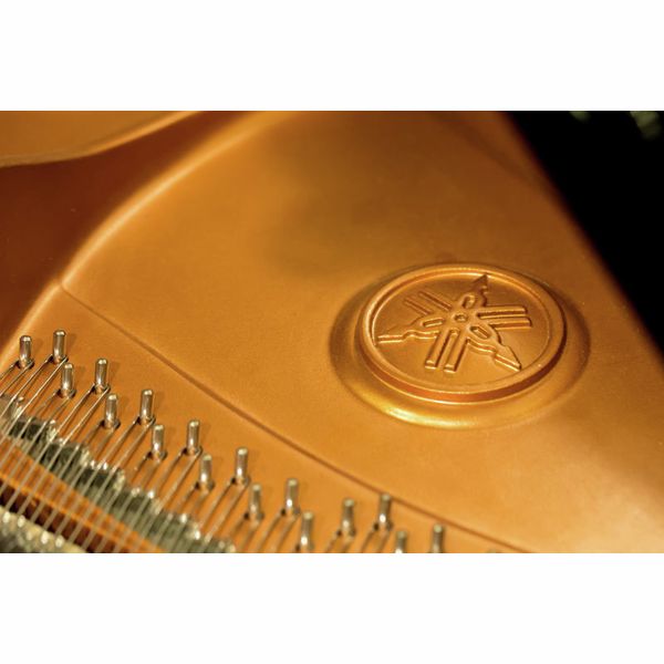 Yamaha C 2 X PE