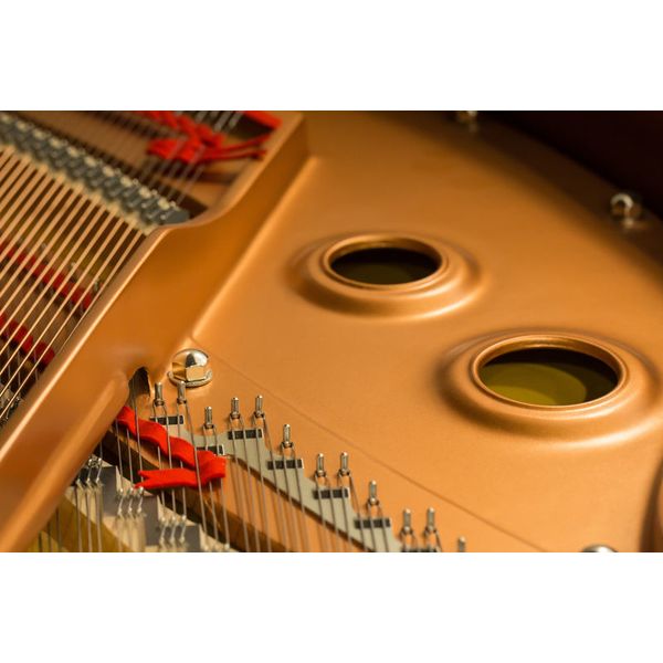 Yamaha C 2 X PE