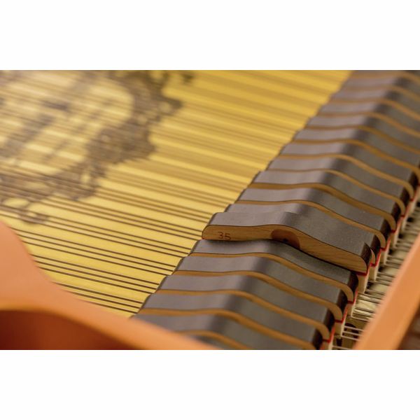 Yamaha C 2 X PE