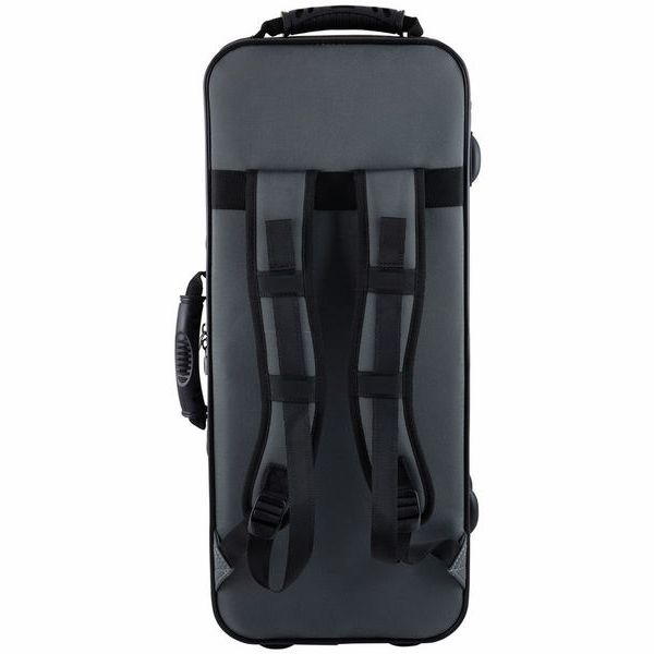 Hamaril Saxophone Set 2 Alt