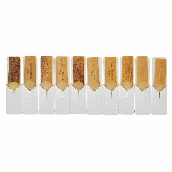 Pilgerstorfer Alto Saxophone 3.0