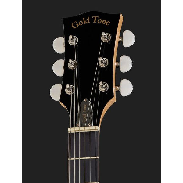 Gold Tone GT-500 6 String Banjitar