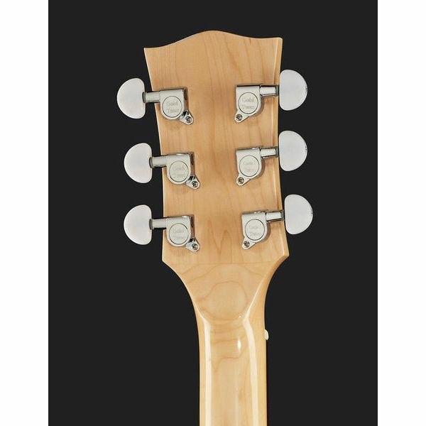 Gold Tone GT-500 6 String Banjitar