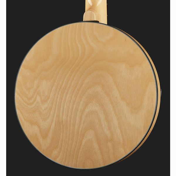 Gold Tone GT-500 6 String Banjitar