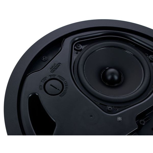 Bose Professional FreeSpace FS4CE black
