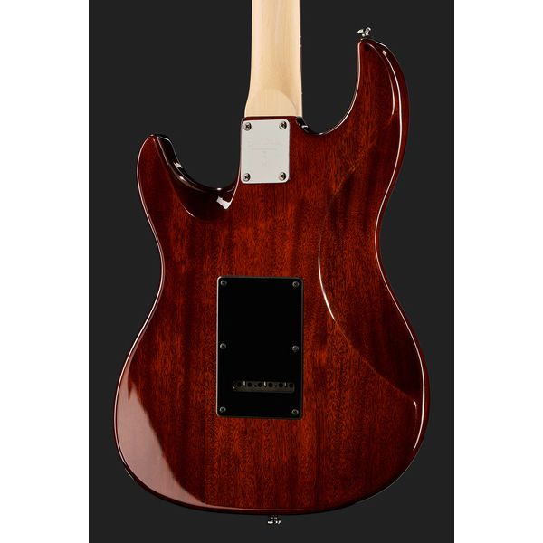 Larry Carlton S3 TS