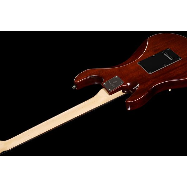 Larry Carlton S3 TS