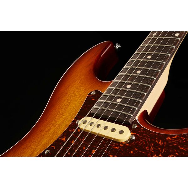 Larry Carlton S3 TS