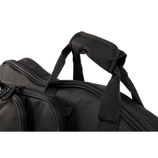 Spector Gigbag bass guitar