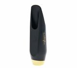 Selmer Alto Sax Claude Delangle